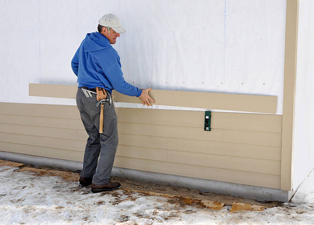 Best Insulated Siding Installation  in USA